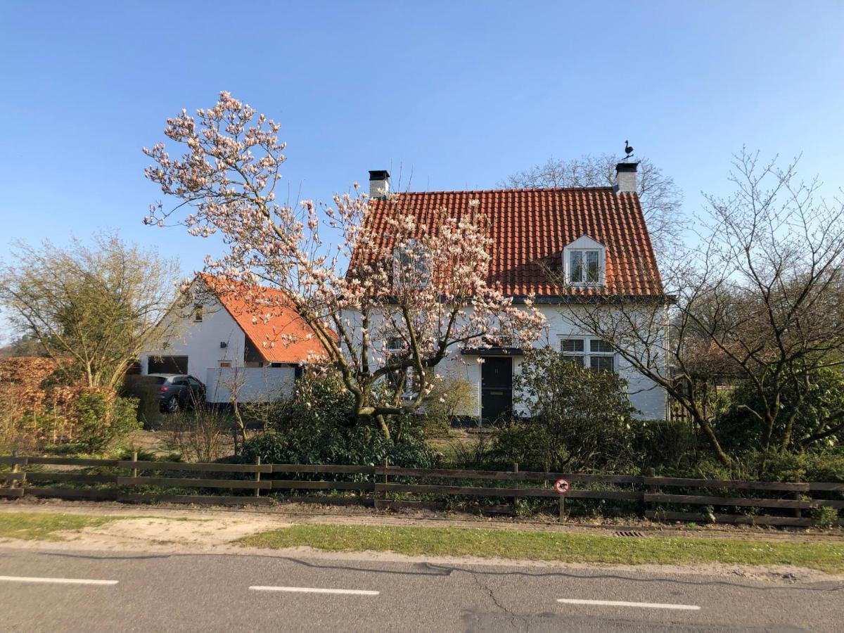 Horse And Hound Bed and Breakfast Riethoven Eksteriør billede