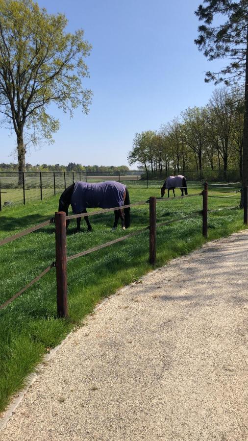 Horse And Hound Bed and Breakfast Riethoven Eksteriør billede
