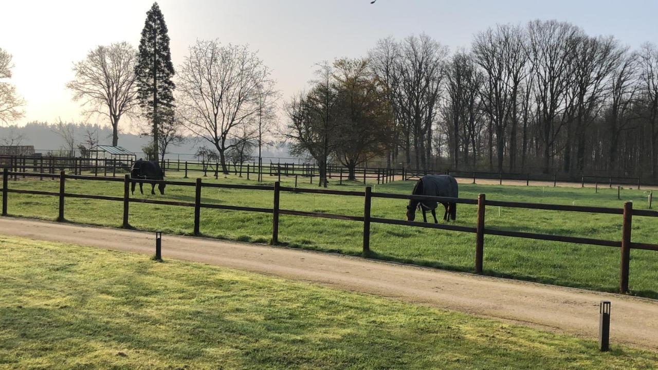 Horse And Hound Bed and Breakfast Riethoven Eksteriør billede