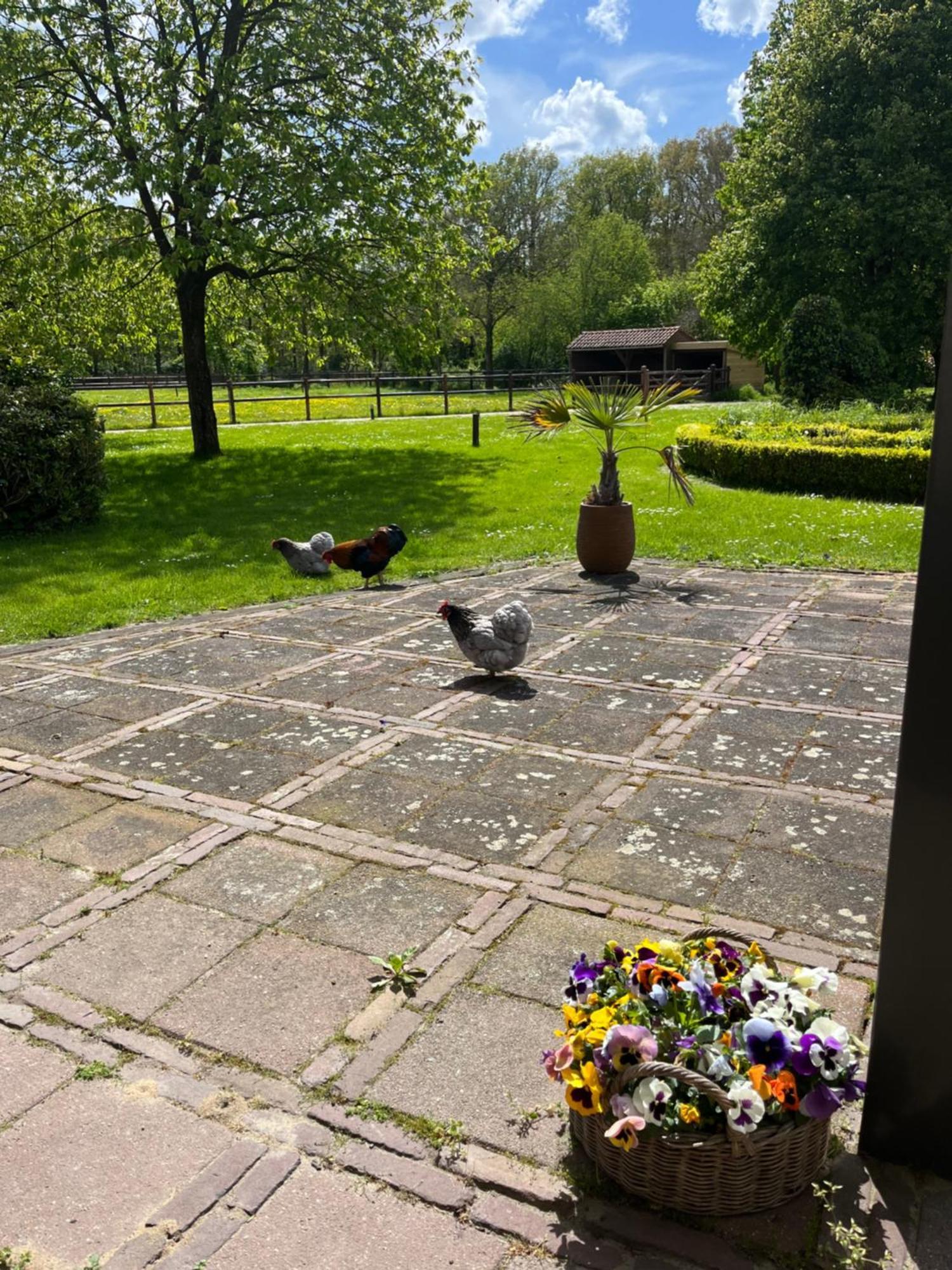 Horse And Hound Bed and Breakfast Riethoven Eksteriør billede